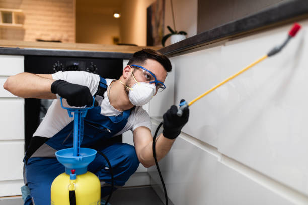 Best Commercial Pest Control Services  in Powell, AL