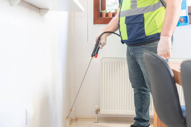 Best Pest Control Near Me  in Powell, AL