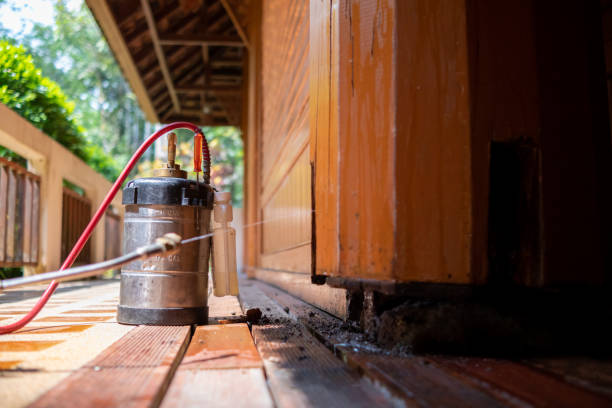 Pest Prevention Services in Powell, AL