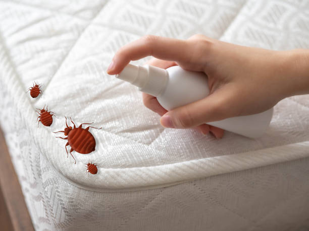 Best Pest Inspection Near Me  in Powell, AL