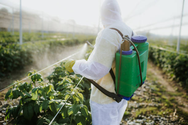 Best Bed Bug Extermination  in Powell, AL